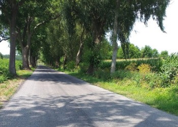 Droga powiatowa w Henrykowie