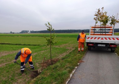 Sadzenie drzew przy drodze Kąkolewo - Grodzisko