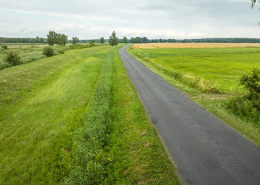 Droga powiatowa z Wojnowic w kierunku Zglińca