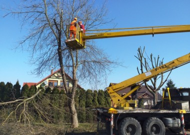 Przycinanie gałęzi w Wilkowicach
