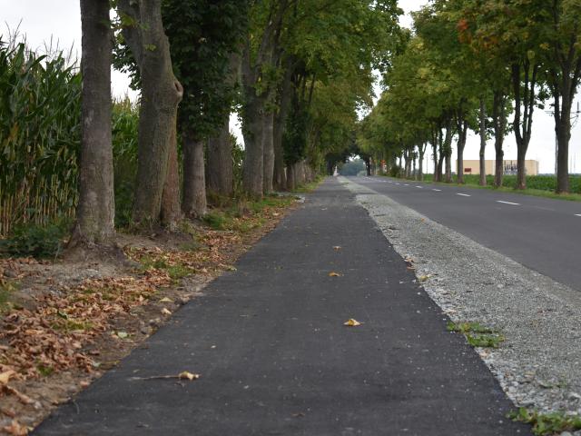 Dsc 0654